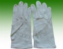 Cotton Glove (5017)
